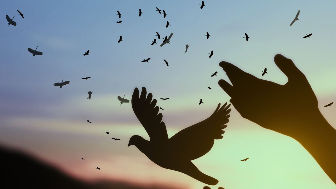 Image of a flying bird